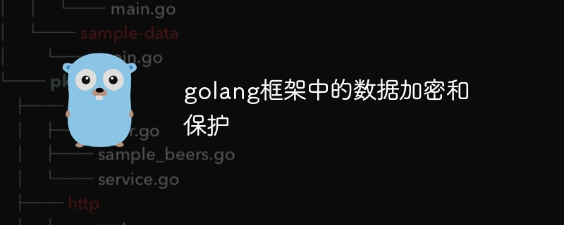 golang框架中的数据加密和保护