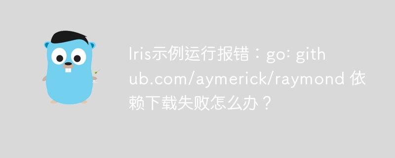 Iris示例运行报错：go: github.com/aymerick/raymond 依赖下载失败怎么办？