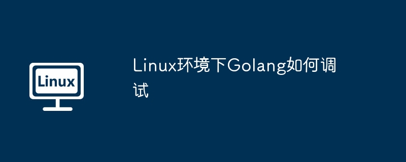 Linux环境下Golang如何调试