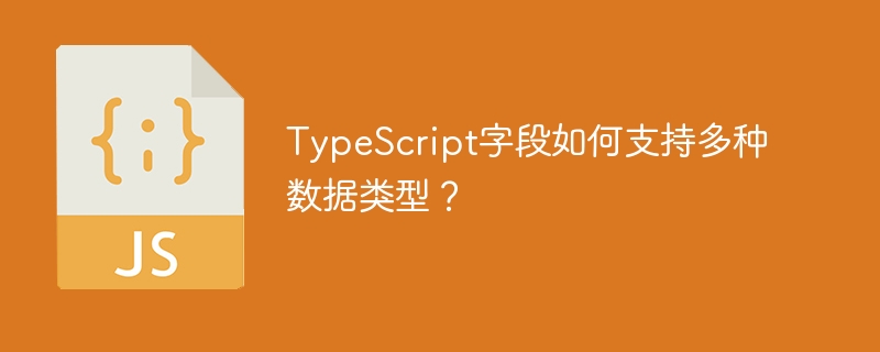 TypeScript字段如何支持多种数据类型？