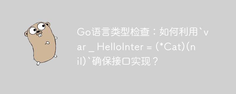 Go语言类型检查：如何利用`var _ HelloInter = (*Cat)(nil)`确保接口实现？