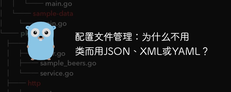 配置文件管理：为什么不用类而用JSON、XML或YAML？