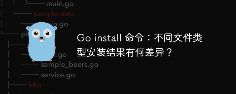 Go install 命令：不同文件类型安装结果有何差异？