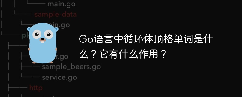 Go语言中循环体顶格单词是什么？它有什么作用？