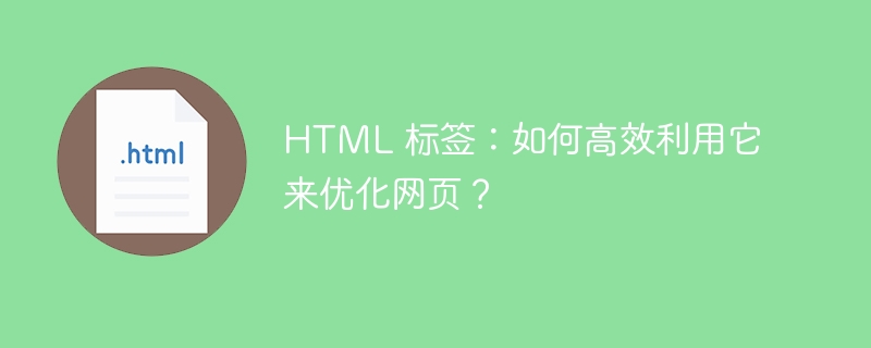 HTML 标签：如何高效利用它来优化网页？
