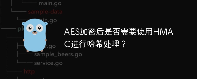 AES加密后是否需要HMAC哈希？