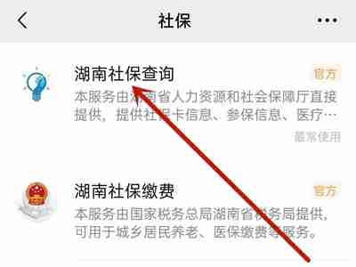 微信如何查社保缴纳情况 微信参保信息查询教程分享