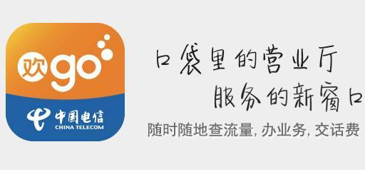 电信营业厅怎么启用隐私哨兵功能 手机电信营业厅开启隐私哨兵方法分享