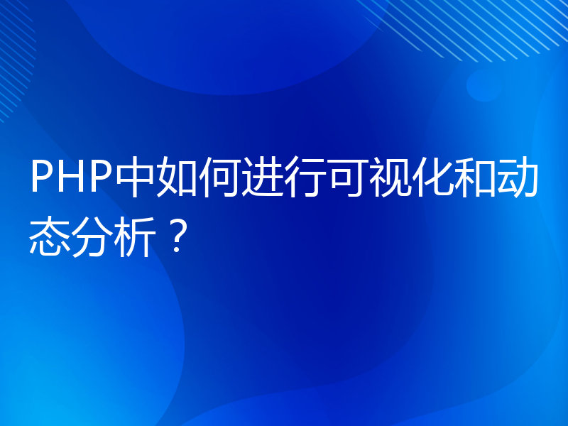 PHP中如何进行可视化和动态分析？