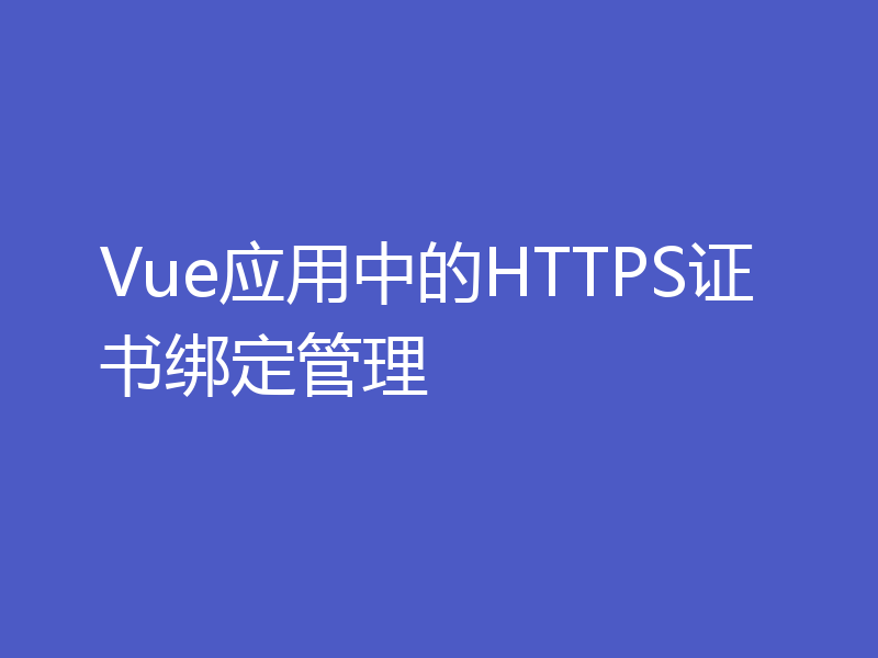 Vue应用中的HTTPS证书绑定管理