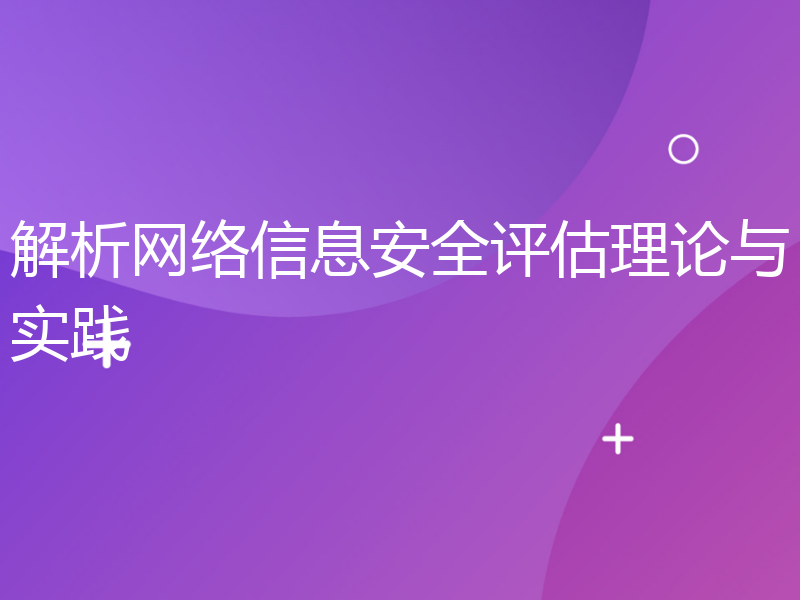 解析网络信息安全评估理论与实践