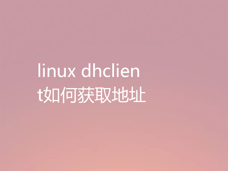 linux dhclient如何获取地址