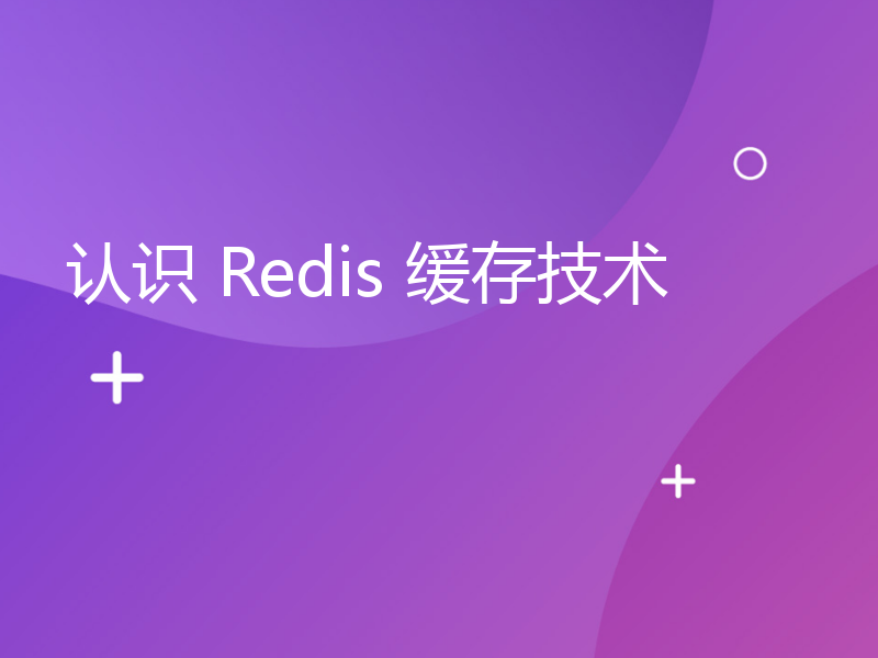 认识 Redis 缓存技术