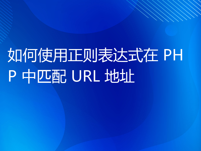 如何使用正则表达式在 PHP 中匹配 URL 地址