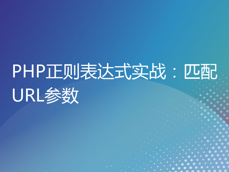 PHP正则表达式实战：匹配URL参数