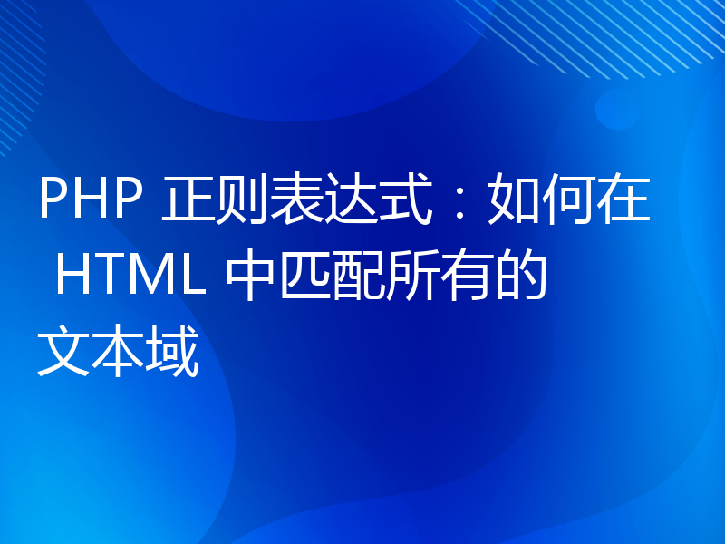 PHP 正则表达式：如何在 HTML 中匹配所有的文本域