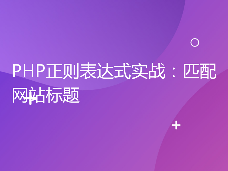 PHP正则表达式实战：匹配网站标题