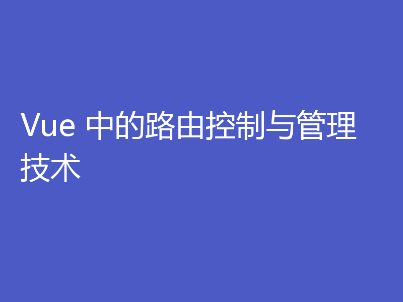 Vue 中的路由控制与管理技术