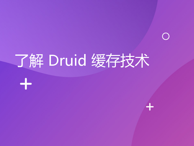 了解 Druid 缓存技术