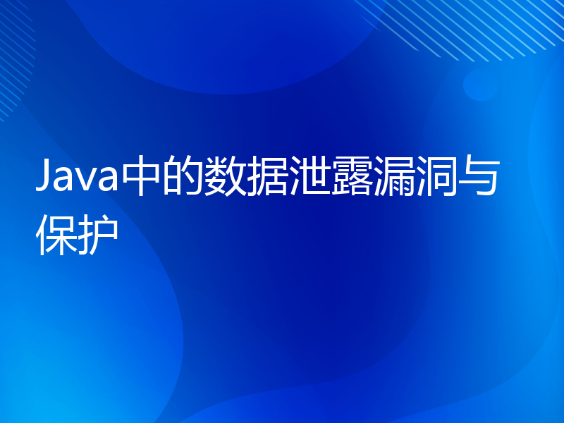 Java中的数据泄露漏洞与保护