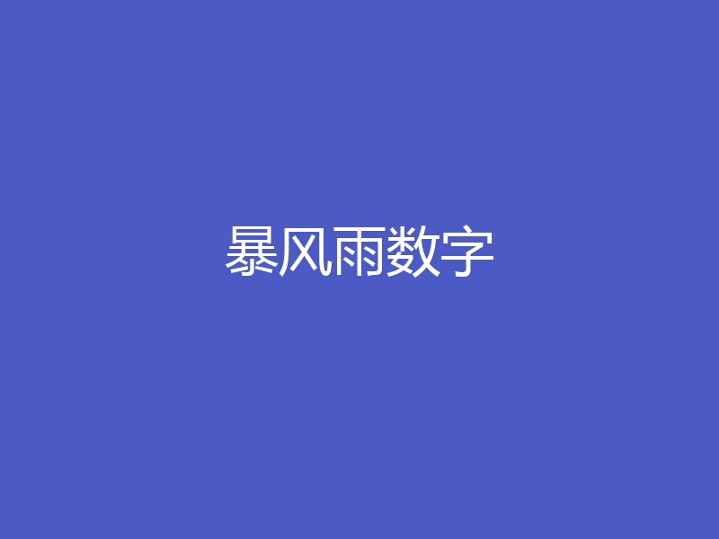 暴风雨数字