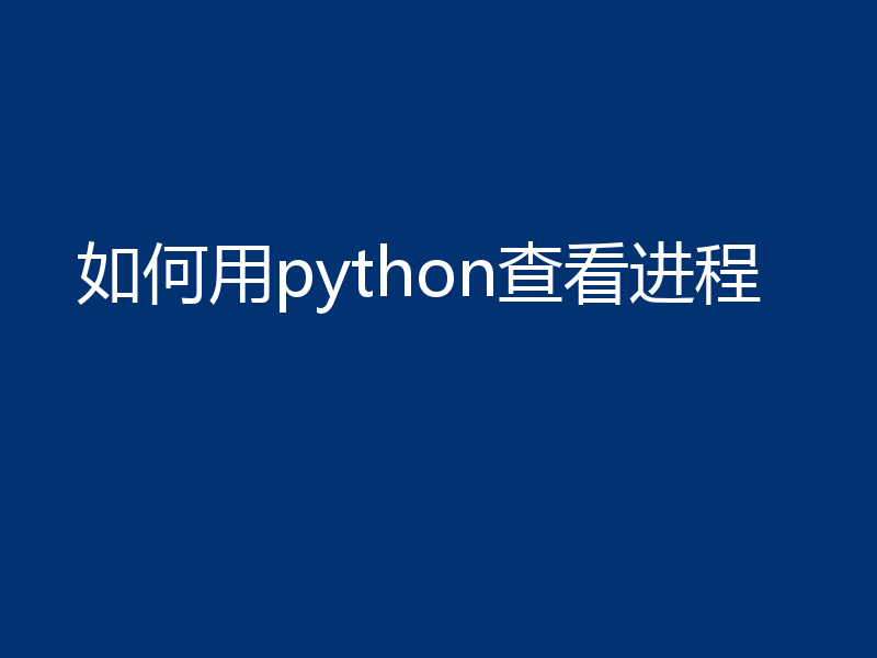 如何用python查看进程