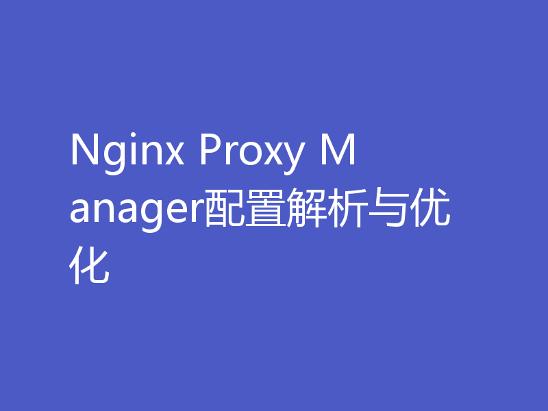 Nginx Proxy Manager配置解析与优化