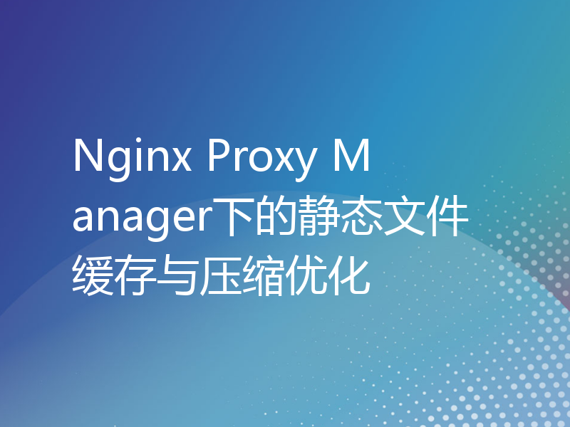 Nginx Proxy Manager下的静态文件缓存与压缩优化