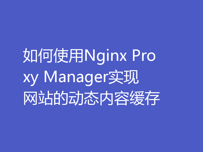 如何使用Nginx Proxy Manager实现网站的动态内容缓存