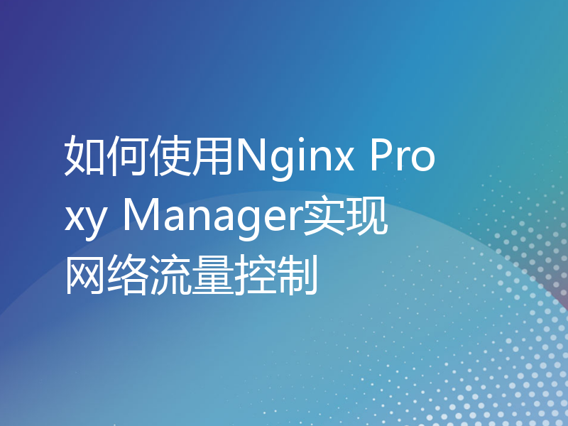 如何使用Nginx Proxy Manager实现网络流量控制