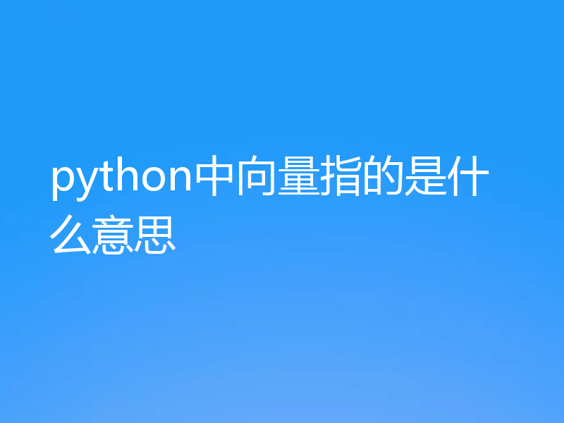 python中向量指的是什么意思