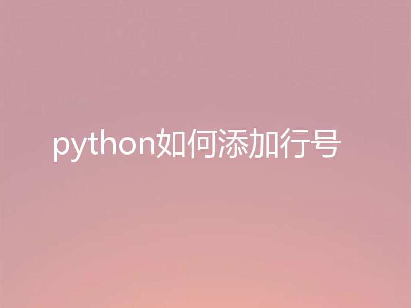 python如何添加行号