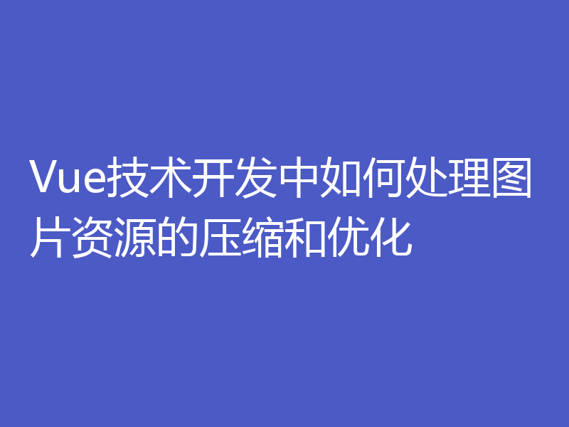 Vue技术开发中如何处理图片资源的压缩和优化