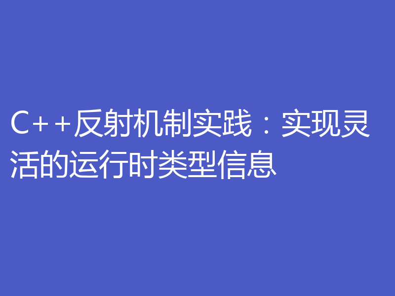 C++反射机制实践：实现灵活的运行时类型信息