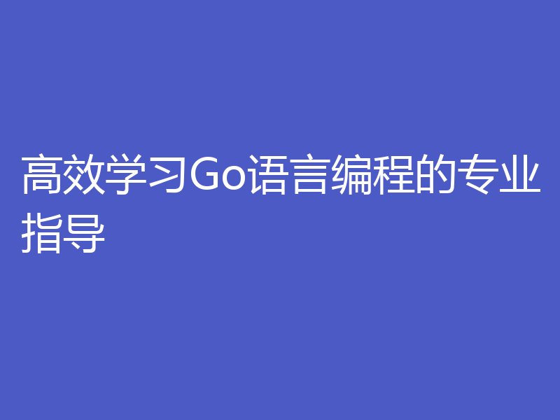 高效学习Go语言编程的专业指导