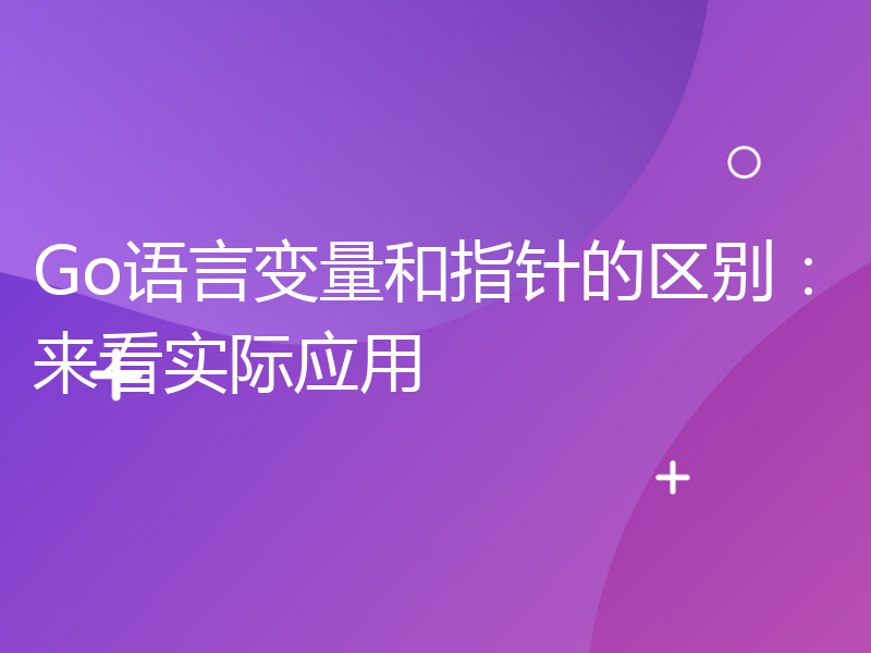 Go语言变量和指针的区别：来看实际应用