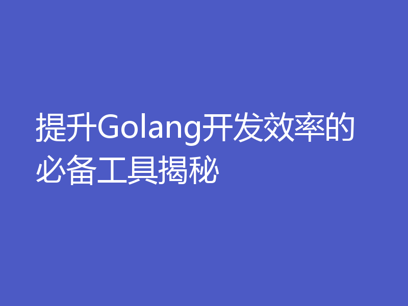 提升Golang开发效率的必备工具揭秘