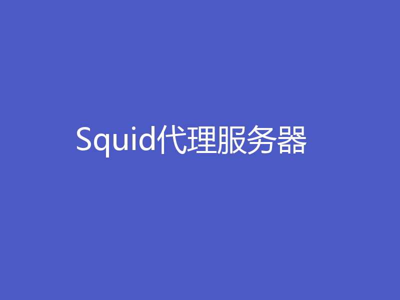 Squid代理服务器