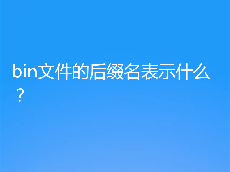 bin文件的后缀名表示什么？