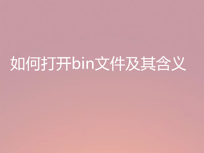 如何打开bin文件及其含义